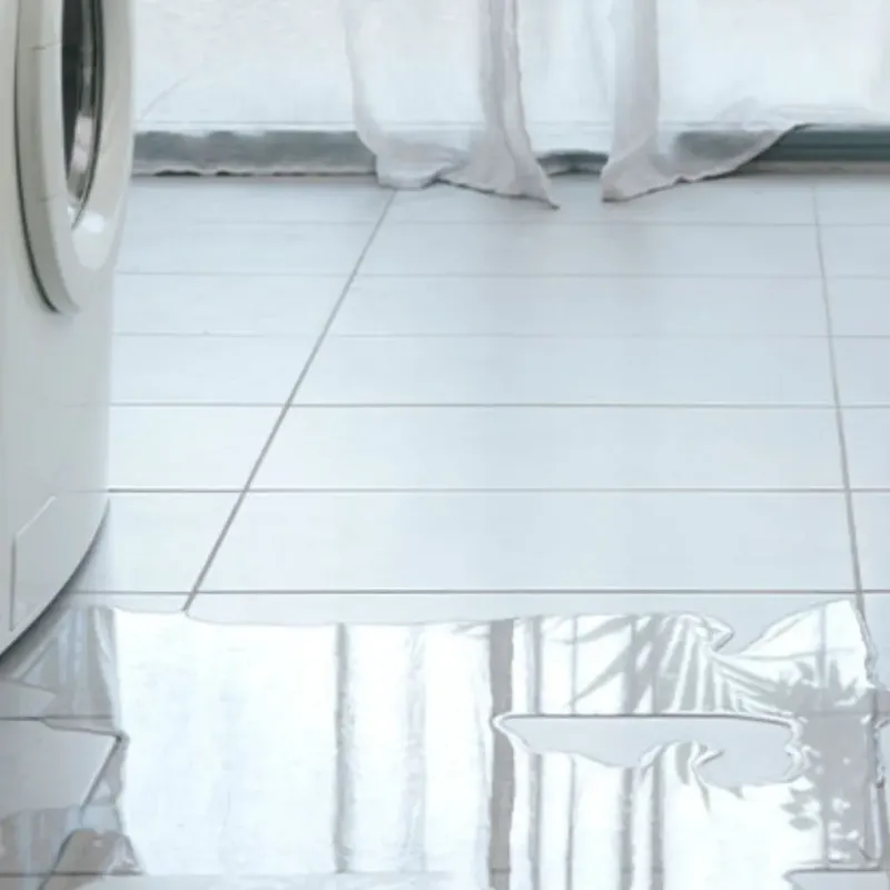 Appliance Leak Cleanup in Boone County, NE