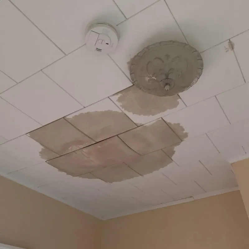 Ceiling Water Damage Repair in Boone County, NE