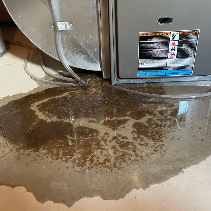 Pipe Burst and Leak Restoration in Boone County, NE