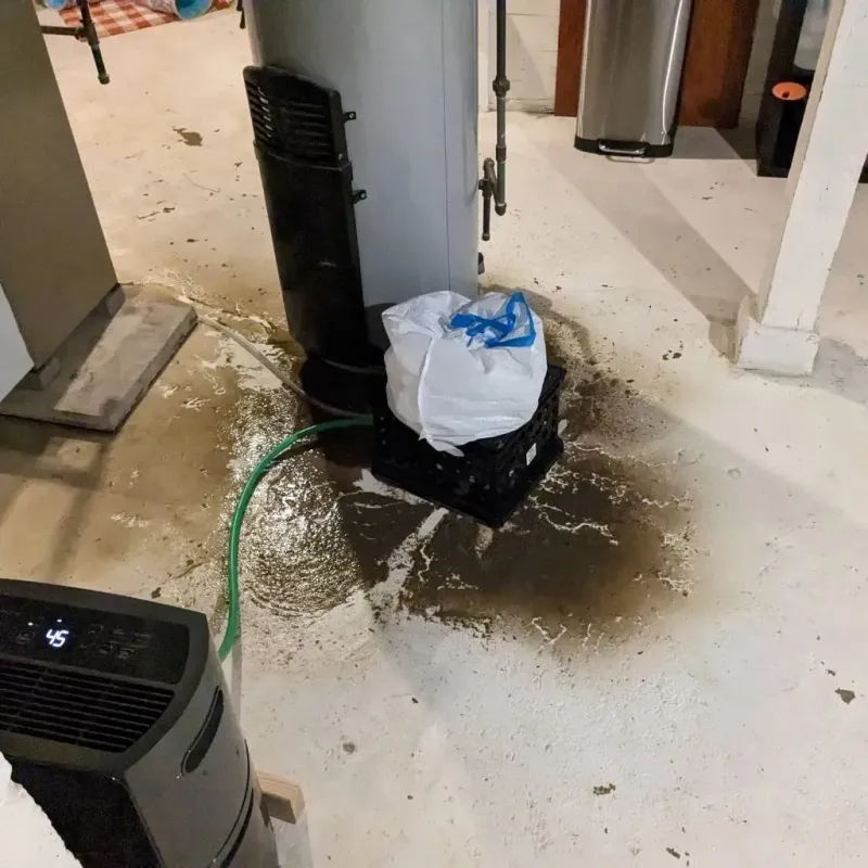 Sewage Backup Cleanup Service in Boone County, NE